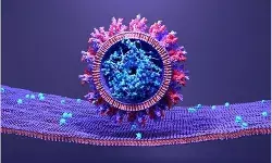 New COVID-19 therapy in Peru shows promise against future variants New COVID-19 therapy in Peru shows promise against future variants