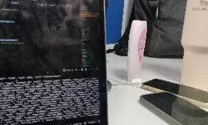 Gautam Buddha Nagar43952